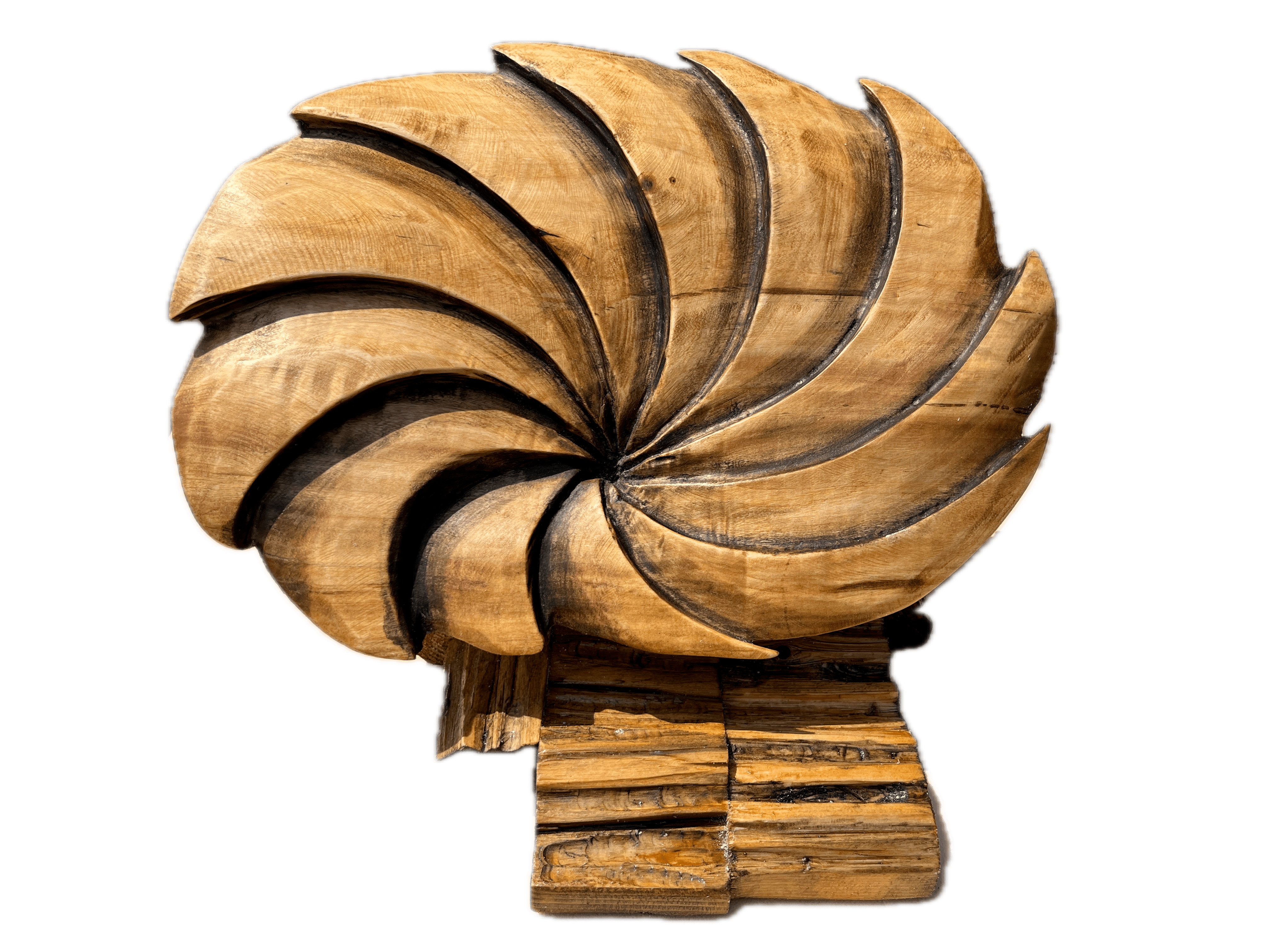 Vortice della vita